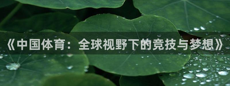 米兰体育官方正版app集团E.ON:《中国体育:全球视野下的