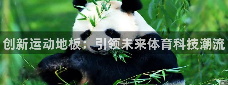 米兰体育官方正版app集团logo:创新运动地板:引领未来体