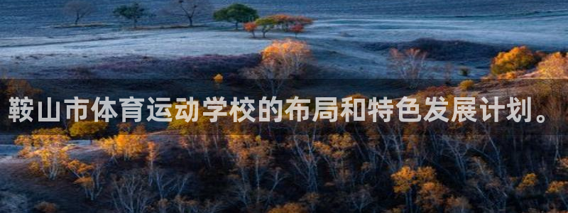 米兰体育官网下载招商电话是多少号码:鞍山市体育运动学校的布局